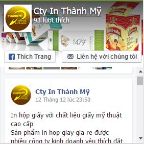 In Thành Mỹ, In hộp giấy, Bao bì Giấy Nhựa