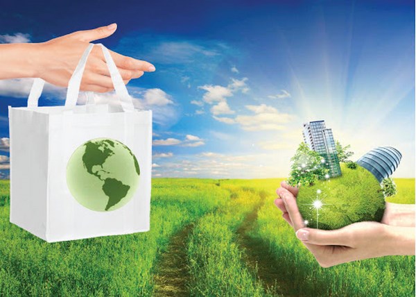 Túi thân thiện bảo vệ môi trường sỉ lẻ toàn quốc và xuất khẩu